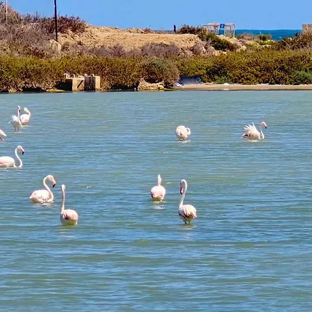 Bergantin 30 公寓 托雷维耶哈